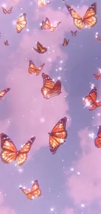 Brown Butterfly Insect Live Wallpaper