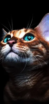 This live wallpaper features a hyper-realistic close-up of a ginger cat with blue eyes