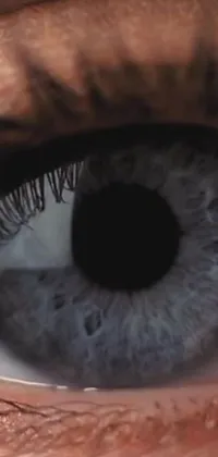 This phone live wallpaper offers a hyperrealistic close-up of a human eye