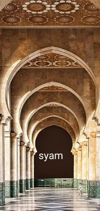 This mobile live wallpaper showcases a captivating image of a building's interior with multiple Roman arches