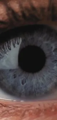 This phone live wallpaper features a stunningly hyperrealistic close-up shot of a blue eye