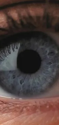 Enhance your phone's home screen with this stunningly realistic live wallpaper featuring a close-up of a beautifully detailed blue eye