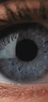 This mesmerizing phone live wallpaper showcases a hyperrealistic close-up of a blue eye