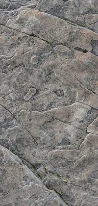 Brown Grey Formation Live Wallpaper