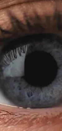 This phone live wallpaper showcases a striking close-up of a blue eye