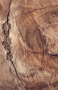 Brown Leaf Wood Live Wallpaper
