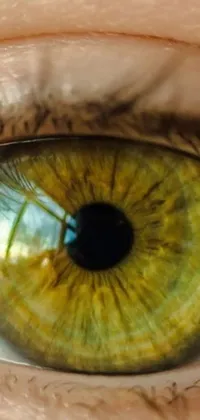 This live wallpaper for your phone showcases a realistic close-up of a green eye in vibrant green and yellow tones with a light brown iris