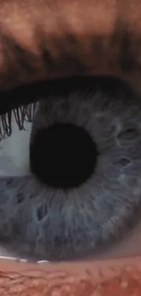 This eye live wallpaper features a stunning close-up of a blue eye with hyper-realistic details