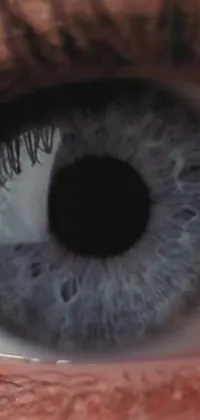 This stunning live wallpaper features an ultra-realistic close-up of a blue eye