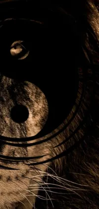 This phone live wallpaper features a stunning close-up of a cat's face with a prominent yin symbol