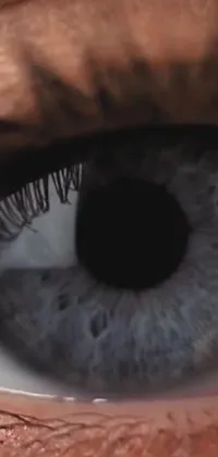 This hyperrealistic live phone wallpaper features a stunning close-up of a blue eye