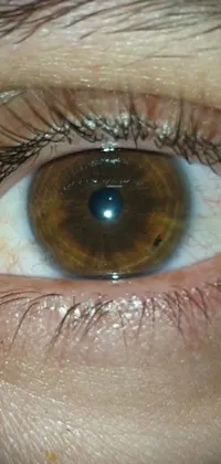 This live phone wallpaper portrays a close-up view of a brown eye