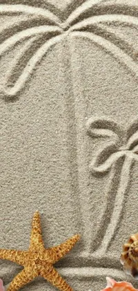 This phone live wallpaper features a peaceful image of the beach with a starfish, shells and a palm tree drawn on the sand