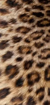 This mesmerizing phone live wallpaper features a close-up photograph of a leopard's fur, showcasing its intricate pattern in striking detail