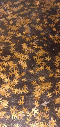 Brown Plant Textile Live Wallpaper