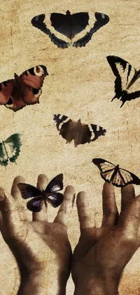 This live wallpaper for your phone features a stunning illustration of a bunch of butterflies against a distressed poster backdrop