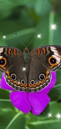 Light Butterfly  Live Wallpaper