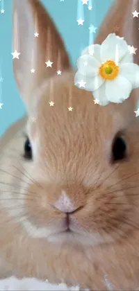 This live wallpaper for your phone showcases a stunningly detailed rabbit with a dainty flower atop its head