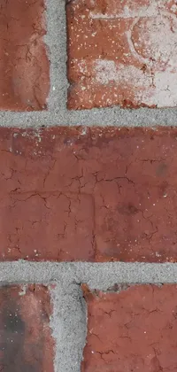 This phone live wallpaper showcases a close-up shot of a red brick wall, textured with cement and brick that radiates a vintage feel