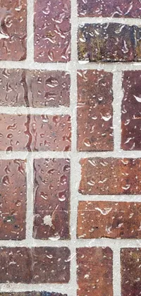 brick by brick  Live Wallpaper