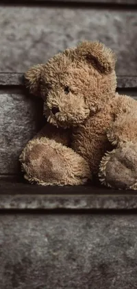 This live wallpaper for phones is an emotional scene featuring a brown teddy bear sitting on a wooden bench in front of a blurred landscape of a park with trees and flowers