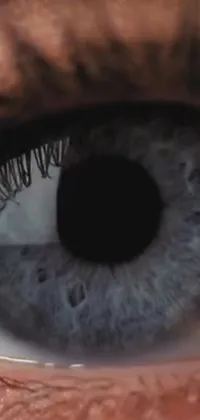 This phone live wallpaper features a stunningly realistic close-up of an eye