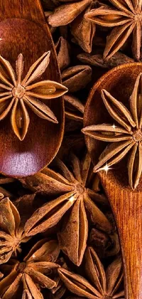 Brown Star Anise Wood Live Wallpaper