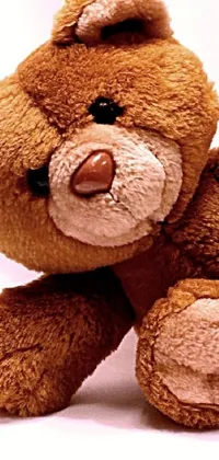 tedy bear Live Wallpaper