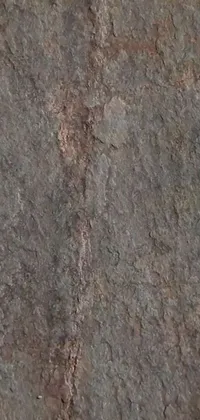 Brown Wood Natural Material Live Wallpaper