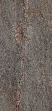This phone live wallpaper depicts a close-up of a rock with a bird on it set against a textured brown roofing tiles background