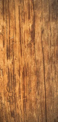 Brown Wood Wood Stain Live Wallpaper