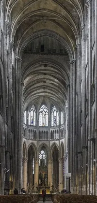 Immerse yourself in a stunning live wallpaper featuring the interior of a breathtaking cathedral