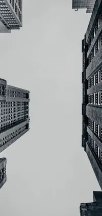 Building Sky Skyscraper Live Wallpaper