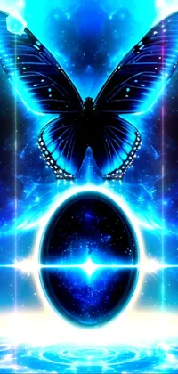 Butterfly Blue Light Live Wallpaper