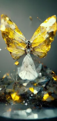 Butterfly Insect Arthropod Live Wallpaper