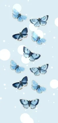 Butterfly Insect Pollinator Live Wallpaper