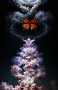Butterfly Nature Natural Environment Live Wallpaper