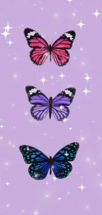 Butterfly Pollinator Arthropod Live Wallpaper