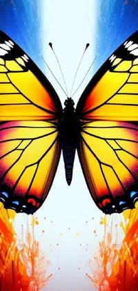 Butterfly Pollinator Arthropod Live Wallpaper