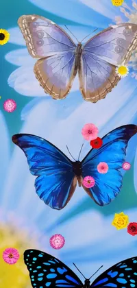 Butterfly Pollinator Blue Live Wallpaper