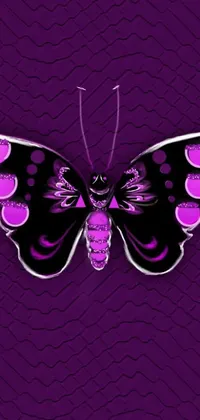 This stunning live wallpaper features a digital art close-up of a butterfly on a beautiful purple background