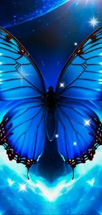 Butterfly Pollinator Insect Live Wallpaper