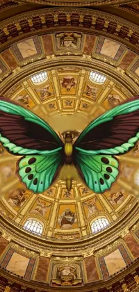 Butterfly Pollinator Interior Design Live Wallpaper