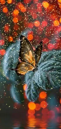 Butterfly Pollinator Plant Live Wallpaper