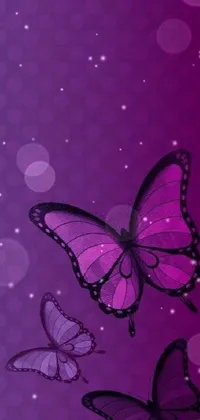 Butterfly Pollinator Purple Live Wallpaper
