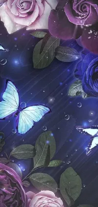 Butterfly Purple Blue Live Wallpaper