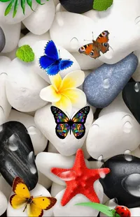 Butterfly White Product Live Wallpaper