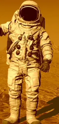 Camouflage Cargo Pants Astronaut Live Wallpaper