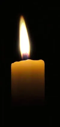 This live phone wallpaper features a mesmerizing image of a burning candle against a dark black background