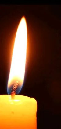 This live wallpaper depicts a slender candle with a red flame on a black backdrop
